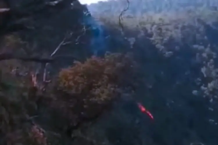 Api di Kawasan Hutan Gunung Tangkuban Parahu Belum Padam, Pemda KBB Minta BNPB Terjunkan Helikopter Water Bombing
