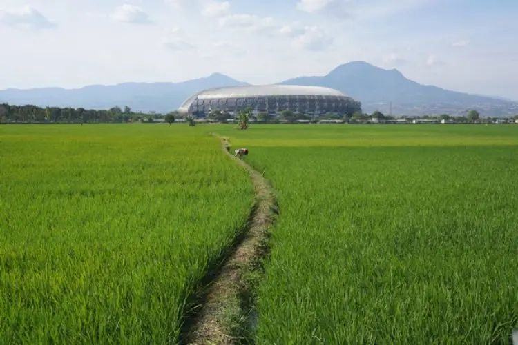 Kota Bandung Masih Punya 700 Hektare Sawah, Terbanyak di Bandung Timur