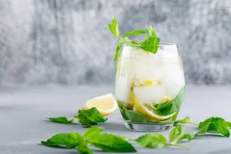7 Manfaat Dahsyat Seduhan Daun Mint Madu yang Wajib Anda Coba! Rahasia Alami untuk Tubuh Bugar dan Vitalitas Maksimal