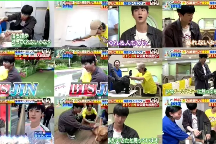 Jin BTS Sibuk jadi Relawan Penyelamat Anjing Meski Memiliki Alergi