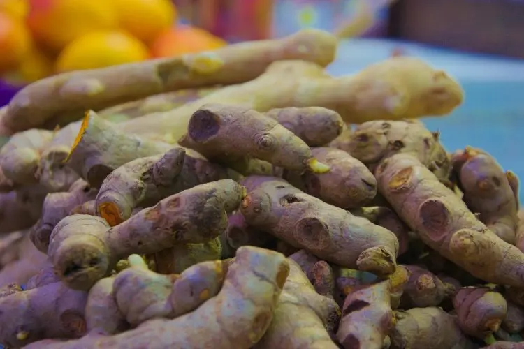 Asam Lambung Menyerang? Jangan Panik! Kunyit Putih Solusi Alami yang untuk Perutmu, Lengkap dengan Resep Ramuannya