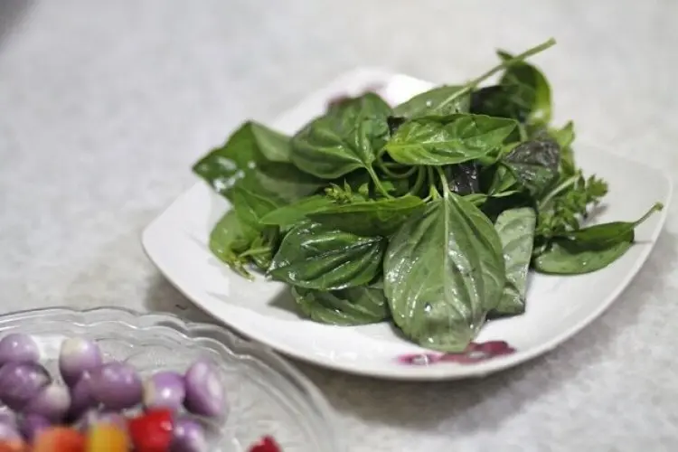 Kecantikan Alami dari Dapur, Manfaat Daun Kemangi untuk Kulit yang Memukau