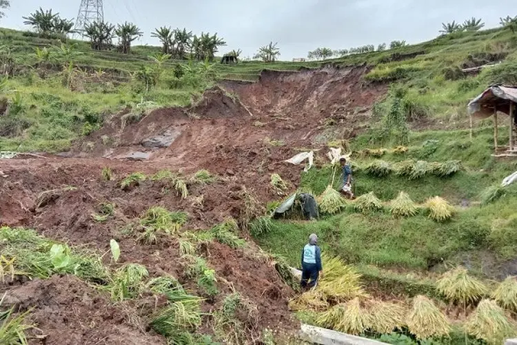 Tanah Longsor Di Pasanggrahan Ujungberung, Putuskan Akses Jalan Warga