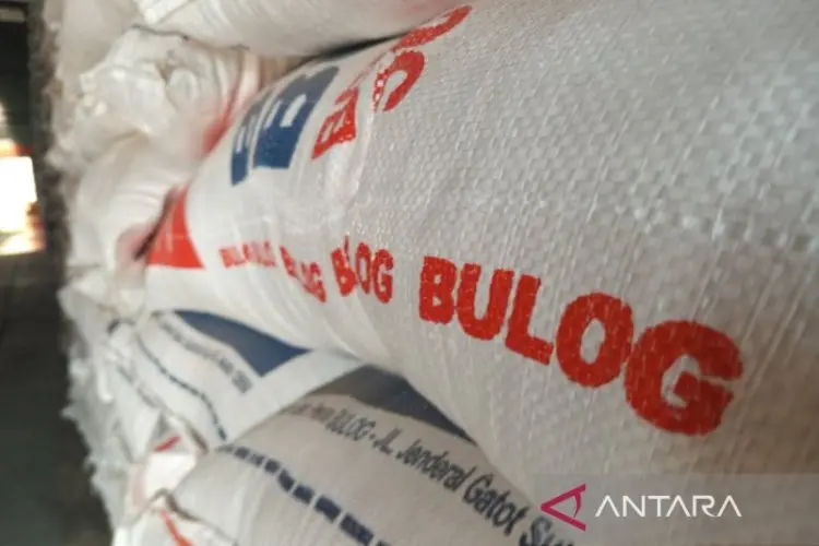 Bulog Serap 76 ribu Ton Hasil Panen Petani Lokal Ciayumajakuning