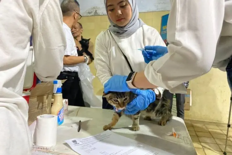 DKPP Kota Bandung Gelar Vaksin Rabies Gratis