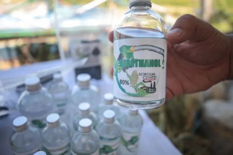 Kota Bandung Kembangkan Sorgum Jadi Energi Baru Terbarukan