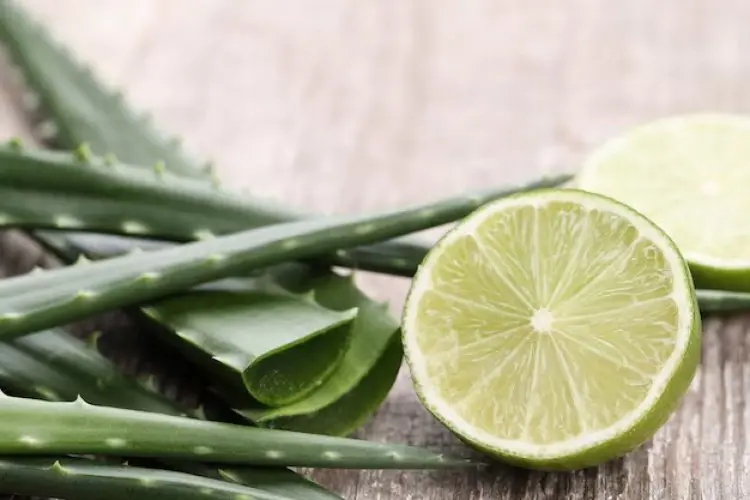 Campuran Gel Lidah Buaya dan Jus Lemon: Rahasia Kulit Bercahaya