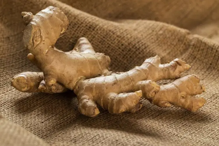 Temukan Manfaat Ginseng India untuk Kulit Sehat dan Awet Muda