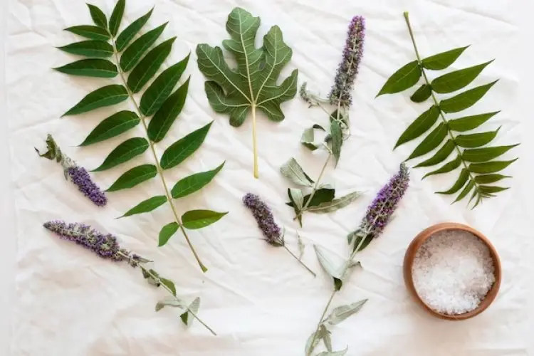 Rambut Sehat Tanpa Ketombe: Resep Minyak Alami yang Mudah dari Lavender dan Peppermint