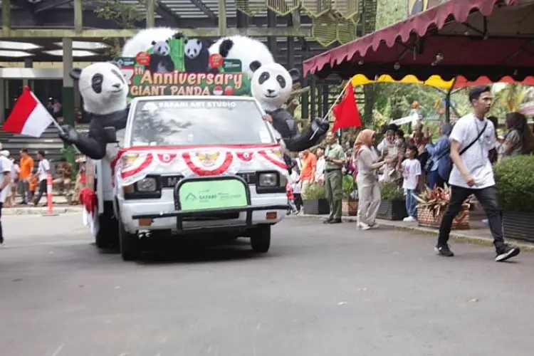Parade Giant Panda di TSI Bogor Hibur Wisatawan