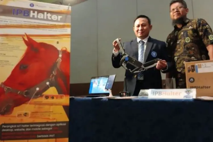 IPB University Luncurkan Alat Pemantauan Kesehatan Kuda Berbasis AI dan IoT
