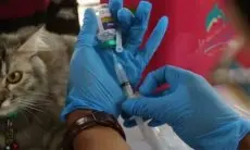 Pemkab Subang Waspadai Penyebaran Kasus  Rabies