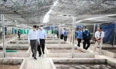 TPST Gedebage Berteknologi RDF, Segera Dibangun Pemkot Bandung dan Kementerian PUPR
