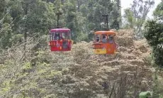 Kereta Gantung Disebut Pengamat Bukan Solusi Kemacetan Lalu Lintas di Kawasan Puncak
