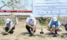 PLN UP3 Indramayu Bersama Srikandi Konsisten Jaga Kelestarian Lingkungan Dengan Penanaman 4.000 Bibit Pohon Cemara Laut di Pesisir Pantai Cemara Indah Balongan