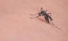 Ancaman DBD Hantui Cimahi, Dinkes Minta Warga Cimahi Waspada