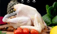 Panduan Lengkap Membesarkan Ayam Organik untuk Daging Berkualitas Premium