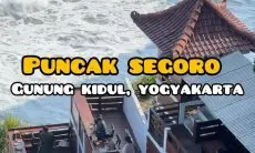 Bukan Cuma Malioboro, Jogja Punya Segudang Tempat Piknik Instagramable! Simak Rekomendasinya di Sini