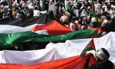 Lebih dari 11.406 Siswa Palestina Meninggal Sejak Awal Agresi Israel