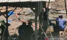 BKSDA Evakuasi 17 Ekor Buaya di Penampungan Cianjur