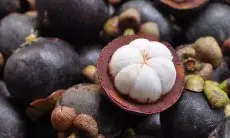 Manisnya Manggis, Segarnya Madu: Ramuan Alami Ampuh Atasi Asam Urat, Bikin Tubuh Sehat Bugar!