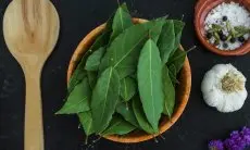 Mengenal 5 Manfaat Daun Salam untuk Merawat Rambut Secara Alami