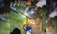 Lagi Asyik Mandi di Sungai Parebok, Pria di Sampit Ini Diterkam dan Dimangsa Buaya...