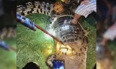 Diduga Diterkam Buaya Saat Memancing, Seorang Pria Hilang di Sungai Manunggul