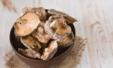 Jamur Shiitake: Superfood yang Kaya Nutrisi dan Manfaat Kesehatan