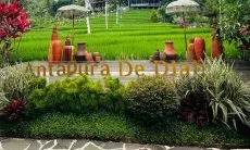 Garut Makin Asyik! 4 Destinasi Wisata Baru 2024 yang Wajib Kamu Coba Bersama Keluarga, Dijamin Liburan Makin Seru dan Tak Terlupakan!