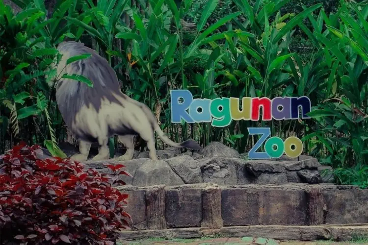 Taman Margasatwa Ragunan Targetkan 600.000 Pengunjung Saat Libur Lebaran, Hadirkan Atraksi Satwa dan Edukasi Menarik