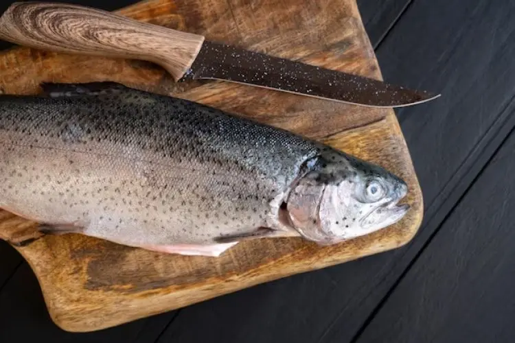 Kenali 6 Manfaat Minyak Hati Ikan Cod untuk Kesehatan Tubuh