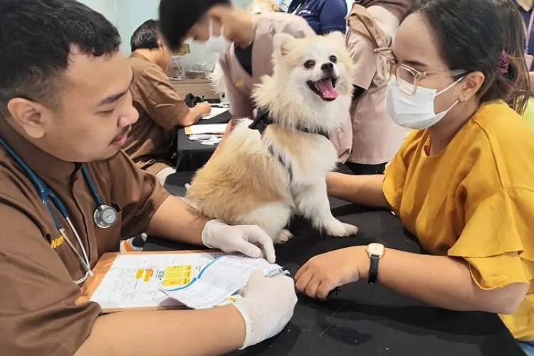 Anabul Dapat Vaksinasi Gratis dari Pet Kingdom, Kota Wisata, Bogor