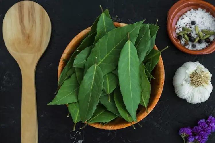 Mengenal 5 Manfaat Daun Salam untuk Merawat Rambut Secara Alami