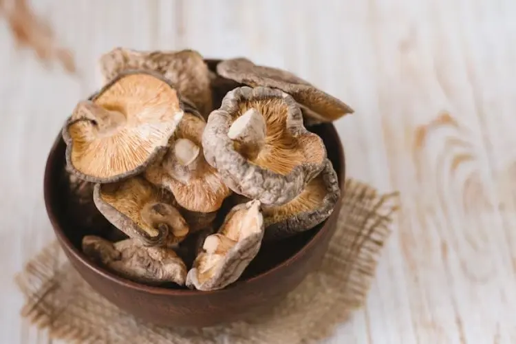 Jamur Shiitake: Superfood yang Kaya Nutrisi dan Manfaat Kesehatan