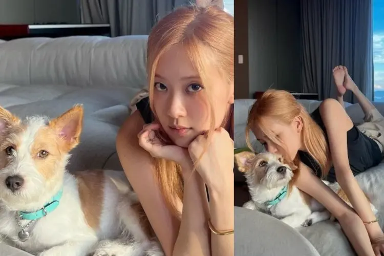 Rose BLACKPINK Tunjukan Pesona Muda dan Kaya saat Memutuskan Adopsi Anak Anjing di Jalanan