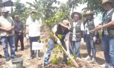 Pegadaian Bandung Tanam 3.000 Pohon Berbagai Jenis di Taman Kehati Gunung Manglayang