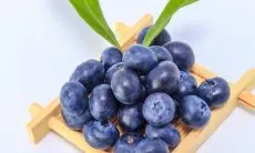 Manfaat Kesehatan Blueberry: Superfood yang Kaya Nutrisi
