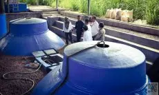 Bio Digester jadi Solusi Pembuangan Limbah Kohe bagi Para Peternak di Kampung Ampera Lembang