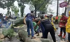 Diguyur Hujan Disertai Angin Kencang, Tiga Titik di Wilayah Kecamatan Cikalongwetan Diterjang Sejumlah Bencana