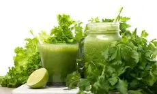 Jus Sayuran dan Buah Penurun Gula Darah: Solusi Alami untuk Penderita Diabetes