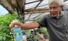 Berangkat dari Keluhan Para Petani, Lansia Asal Padalarang Ubah Belerang jadi Pupuk Cair untuk Tanaman