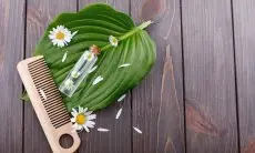 Manfaat Moringa untuk Rambut: Cara Ampuh Merangsang Pertumbuhan dan Mencegah Kerontokan