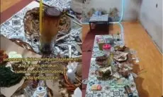 Viral Curhatan Pemilik Warung, Dapat Pengunjung Bak 'Raja' Minta Ini Itu