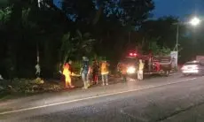 Jelang Makan Sahur, Pemotor Tertimpa Pohon di Jalan Siliwangi