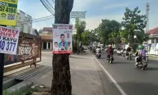  DLH Fokus Tangani Bahan Kampanye yang Dipaku di Pohon