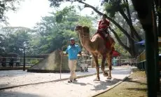 Pemkot Bandung Komitmen Amankan Seluruh Aset