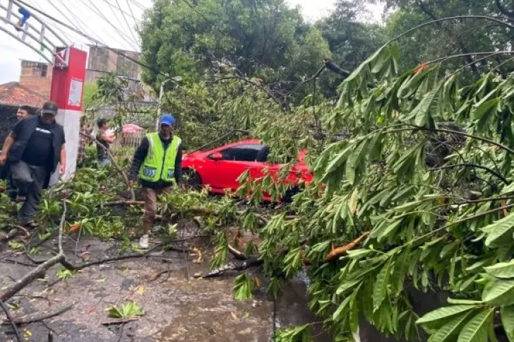 Empat Mobil dan Satu Becak di Kota Bandung Tertimpa Pohon Tumbang