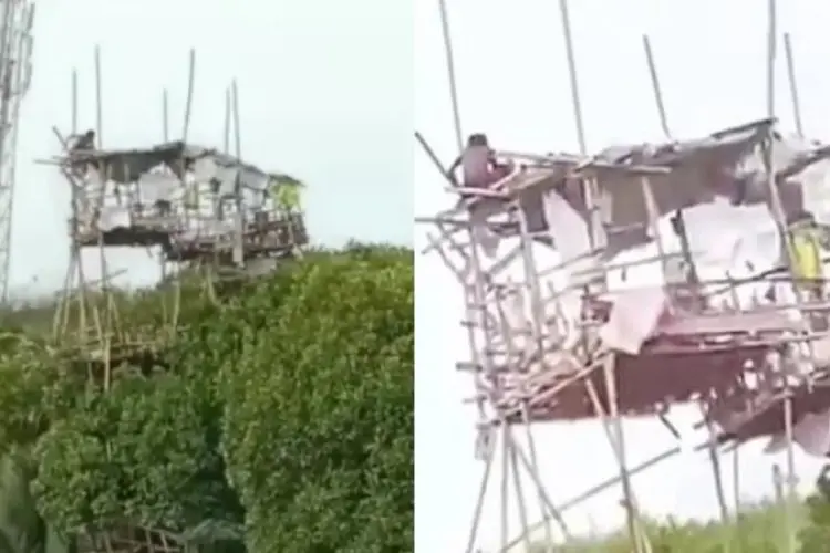 Viral ODGJ Bangun Rumah dari Kayu di Pinggir Pantai, Endingnya Buat Netizen Kasihan