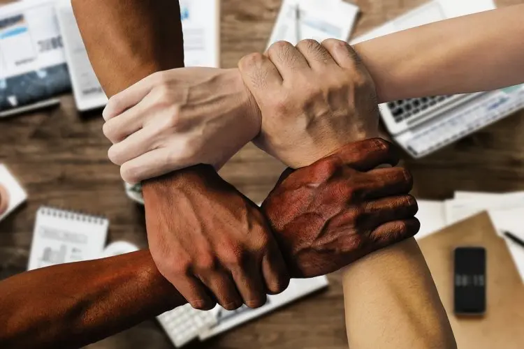 Lebih dari Sekadar Kolega: Tips Membangun Teamwork dan Ikatan Kuat dalam Tim untuk Sukses Bersama